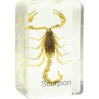 Sagatavots slaids - skorpions, Omegon Art652243