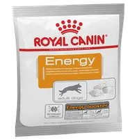 Royal Canin Nutritional Supplement Energy - Wet cat food 50 g Art1112831