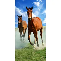 Pludmales dvielis 70X140 Zirgi auļo pļavā 14 6859 Zirgs 2040628