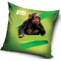 Spilvendrāna 40 X 40 C 3D Animal Planet Monkey Ap 1003 4902 1450032