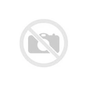 Profesionāls lodāmurs, 40W, Rothenberger 035952Rot