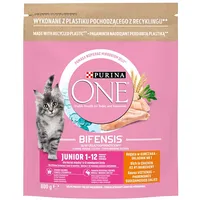 Purina Nestle One Bifensis Junior - dry cat food 800 g 