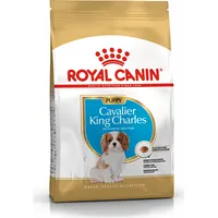 Royal Canin Bhn Cavalier King Charles Spaniel Puppy - dry puppy food 1.5Kg 3182550813051