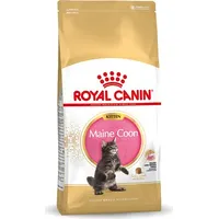Royal Canin Maine Coon Kitten cats dry food 10 kg 3182550863681
