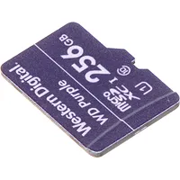 Atmiņas Karte Sd-Micro-10/256-Wd microSD Uhs-I, Sdxc 256 Gb Western Digital