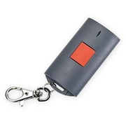 Remote Controller Radio 1Ch/T-1 Satel