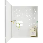 Pulsar Alarm Conditioner Awo200