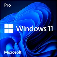 Microsoft Windows 11 Pro, Betriebssystem-Software  1843168 0889842966343 Hav-00180