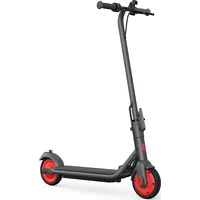 Segway electric scooter Zing C20  Aa.00.0011.54 8720254405186