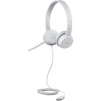 Lenovo Gxd1E71385 headphones/headset Wired Wrist Calls/Music Usb Type-A Grey  195892023814