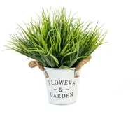 Evelekt Green plant In Garden D20Xh25Cm, grass, flowerpot D10Xh10Cm  Mākslīgais zieds