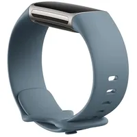 Fitbit Charge 5,Infinity Band,Steel Blue,Large Fb181Abbul Siksniņa