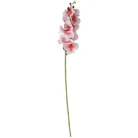 Evelekt Orhidee Flowerly H94Cm, heleroosa  Mākslīgais zieds