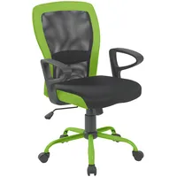 Evelekt Leno Grey Green  Krēsls