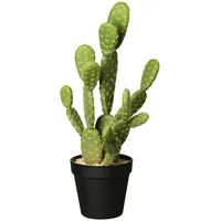 Asa Cactus Opuntia ficus  66214444 Mākslīgais zieds