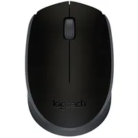 Logitech Mouse Usb Optical Wrl M171/Black 910-004424 Datorpele