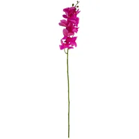 Evelekt Orhidee Flowerly H94Cm, lilla  Mākslīgais zieds