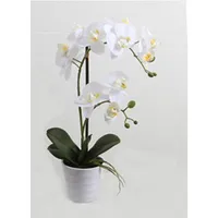 Evelekt Balta orhideja ar 2 zariem In Garden, A51Cm, balts pods  Mākslīgais zieds
