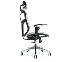 Bemondi Ergonomic office chair Ergo 500 grey Jns-521 Grey Ofisa krēsls