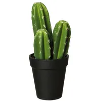 Asa Cactus Pachycereus pringli 66203444 Mākslīgais zieds