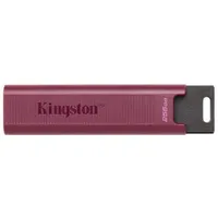 Kingston Memory Drive Flash Usb3.2/256Gb Dtmaxa/256Gb Usb atmiņa