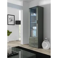 Cama Meble display cabinet Soho S1 grey/grey gloss Sohowits1 Sz/Sz Vitrīna
