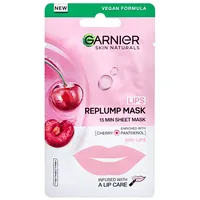 Garnier Skin Naturals Lips Replump Mask Women  Sejas maska