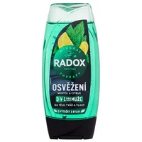 Radox Refreshment Menthol And Citrus 3-In-1 Shower Gel 225Ml Men  Dušas želeja
