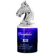 Armaf Bucephalus No. Xii Smaržas Edp 100 Ml 6294015159851