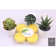 Baltic Candles Maksi Tējas sveces 4 gb. ar citronella smaržu / katras degšanas laiks 8H Yellow 39044