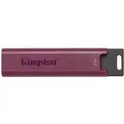 Zibatmiņa Kingston Datatraveler Max 1Tb Dtmaxa/1Tb