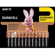 Baterija Duracell Basic Aaa 12 gab./iepak. 250-05837