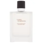 Hermes Terre dHermes Aftershave Water Pēcskūšanās losjons 100Ml 3346131400119
