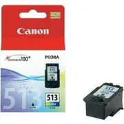 Canon Cl-513 Tintes kārtridžs 2971B001