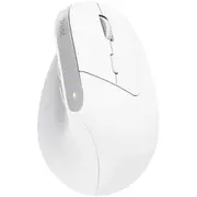 Trust Bayo Bezvadu  Bluetooth Pele 2400 Dpi 25399