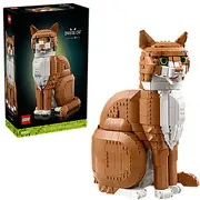 21376 Orange Cat