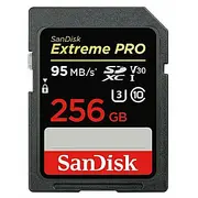 Memory Sdxc 256Gb Uhs-1/Sdsdxxd-256G-Gn4In Sandisk