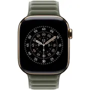 Apple 42Mm Sage pelēkā magnētiskā saite S/M Gray Magnetic Link
