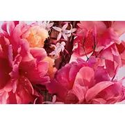 Dior Miss Edp aerosols Spray