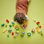 Duplo radošais dārzs un ziedi 10444 Kreatywny kwiaty