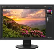 Eizo Coloredge Cs2400S monitors Monitor