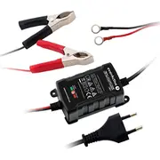 Everactive automātiskais akumulatora taisngriezis 6V/12V 1A 4995726 Automatyczny prostownik do