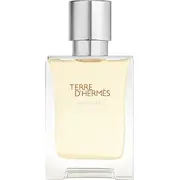 Hermès Terre dHermes Eau Givree Edp 100 ml