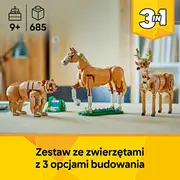 Radītājs skaists zirgs 31166 Creator
