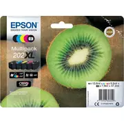 Epson Ink C13T02G74010 Cmyk Photo black Tusz