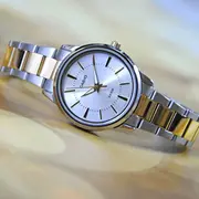 Sieviešu pulkstenis Casio Ltp-1303Sg-7A kaste Zegarek Damski zd591e Box