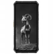 Viedtālrunis Ulefone Armor 28 Pro 5G 16Gb/512Gb Smartphone