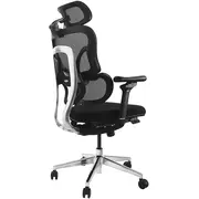 Aprīkot Ergonomischer BürostuhlKopf/ArmstützenSfs schwarz lite Retail Equip