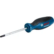 Bosch skrūvgriezis Tx 25X100 mm 1600A01V0D