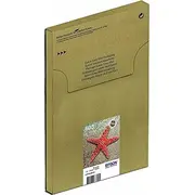 Epson Multipack 603 Easymail tinte Tusz 4-Colours